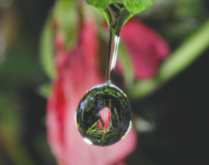 Sfocato......nitido?.....ambedue.....